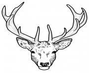 Coloriage tete de cerf