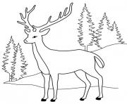 Coloriage cerf dans la nature avec des sapins